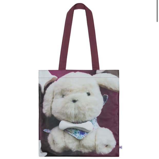 코이세이오 오후백