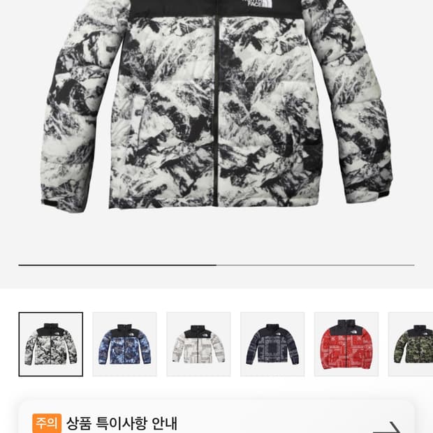 The North Face1996 Novelty Nuptse Jacket