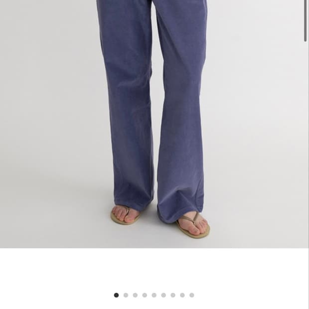 XYLOPHONE PANTS (blueberry) 26aw