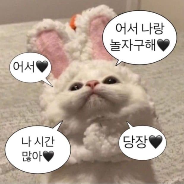 결제창입니당 