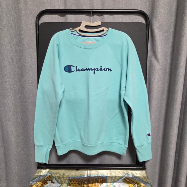 Champion 챔피온 빈티지 맨투맨 L(100)