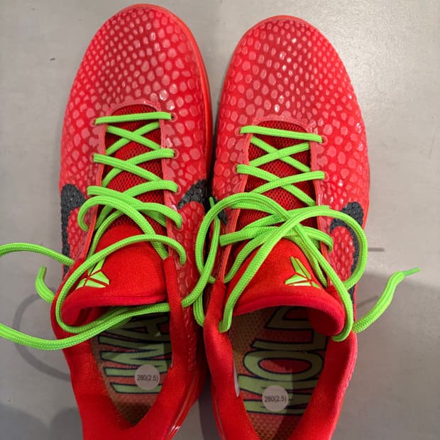 나이키 코비6 프로트로 리버스 280