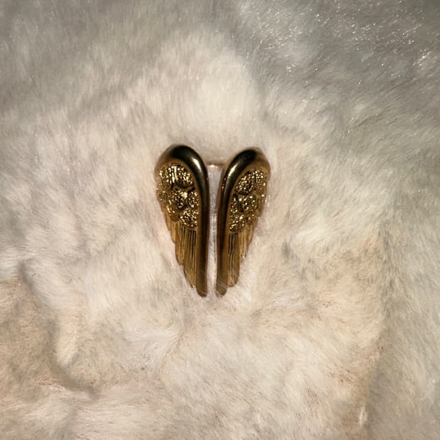 오리엔탈 고스펑크 천사날개 반지