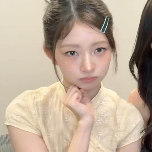 레이 착용) 자라 자수 차이나 칼라 옐로우 셔츠 블라우스