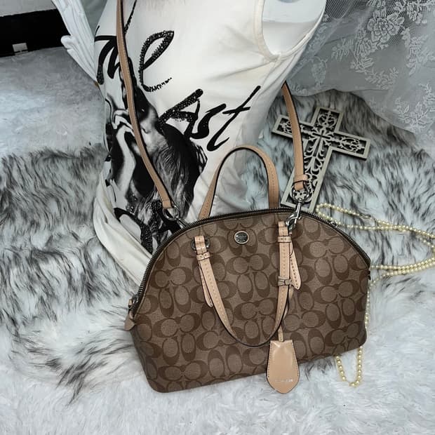 Coach 브라운 라운드 크로스백