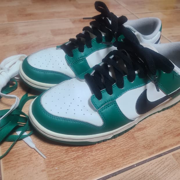 나이키 덩크 로또 말라카이트 265