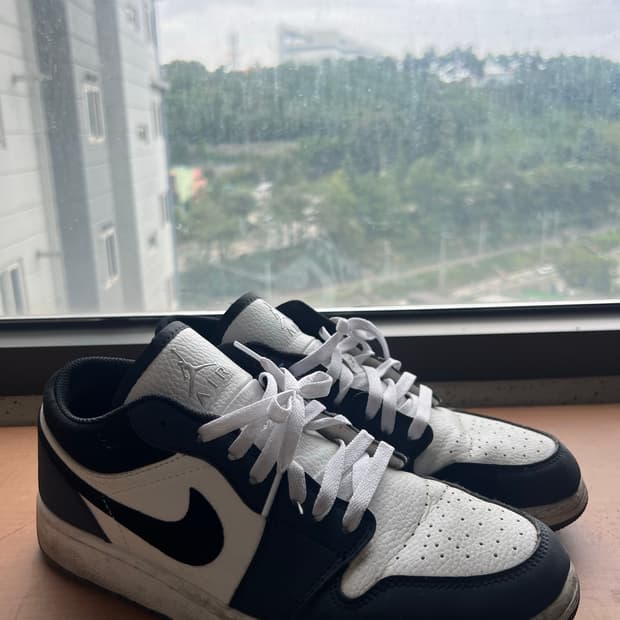 나이키 덩크로우