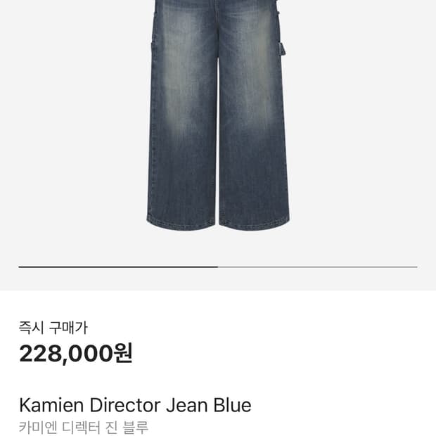 카미엔 디렉터진 [1]