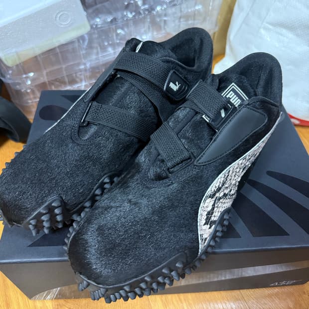 [290] 퓨마 에이셉라키 모스트로