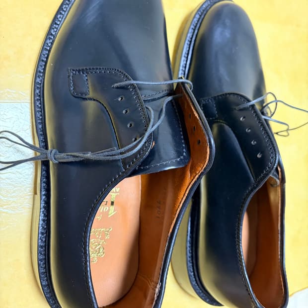 새상품) 알든 9901 코도반 더비 7.5D