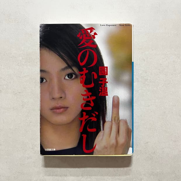 Love exposure 러브 익스포저 원서