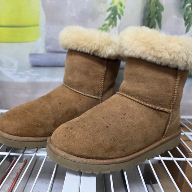 어그부츠 클래식 220~225 털 숏부츠 겨울 여성방한부츠 LB74