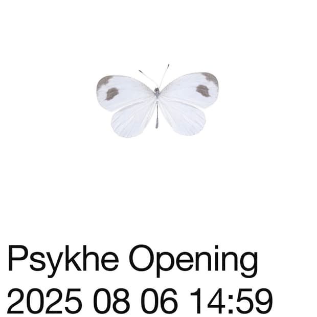 Psykhe Opening
