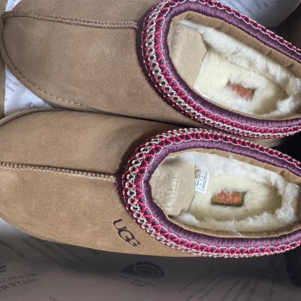 어그 체스트넛 새상품