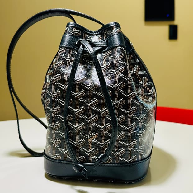 GOYARD 고야드 쁘띠플로 PM 블랙 신품급