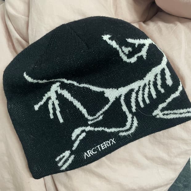 아크테릭스 비니