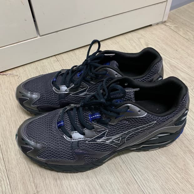 미즈노 웨이브라이더 270 사이즈