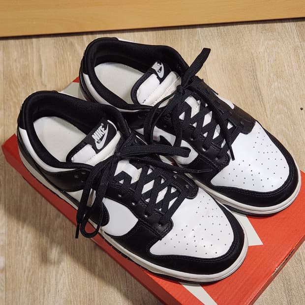 나이키 범고래 덩크 로우 270