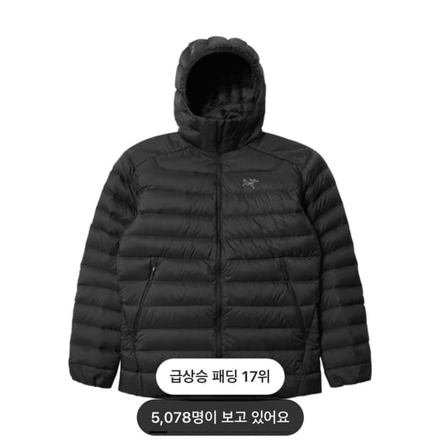 아크테릭스 세륨 후디 남성 블랙 M