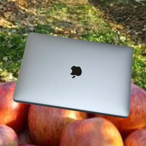 맥북프로 m1 13인치 8/256G