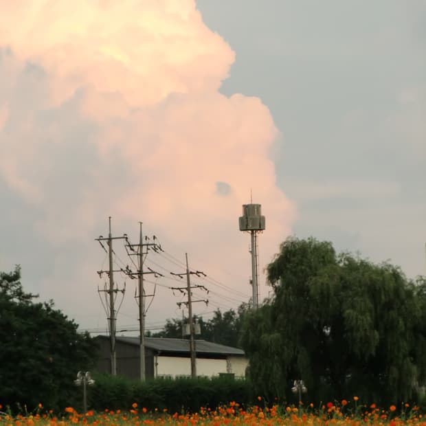 카시오 H10 판매합니다(풀박스,작례있음)