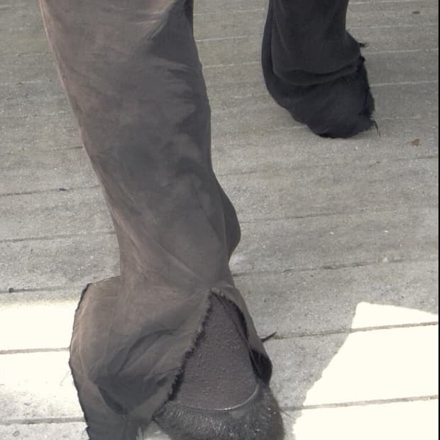 머듈 큐프라 구매