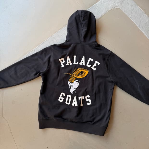 팔라스 22ss 고트 후드