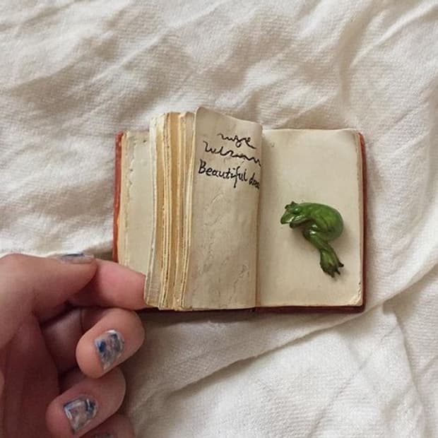 Sleeping Frog Object Tray