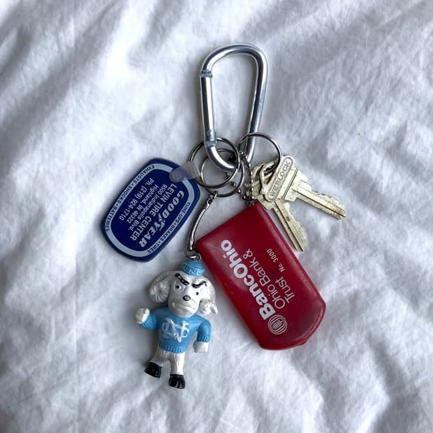 🎁Someone's Keyring #316