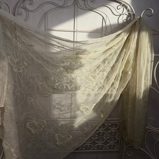 Ivory butterfly sheer maxi scarf