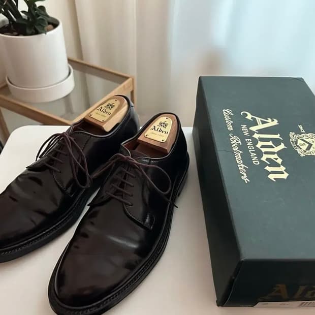 알든 990 8.5D 코도반