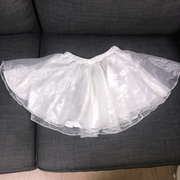skirt