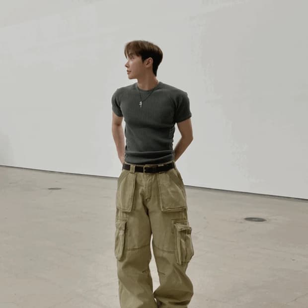 호아이보