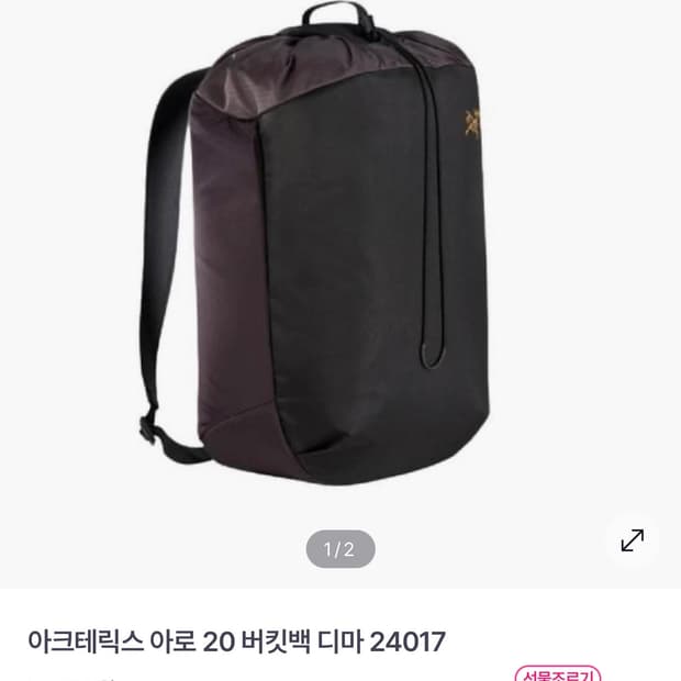 아크테릭스 아로20 버킷백