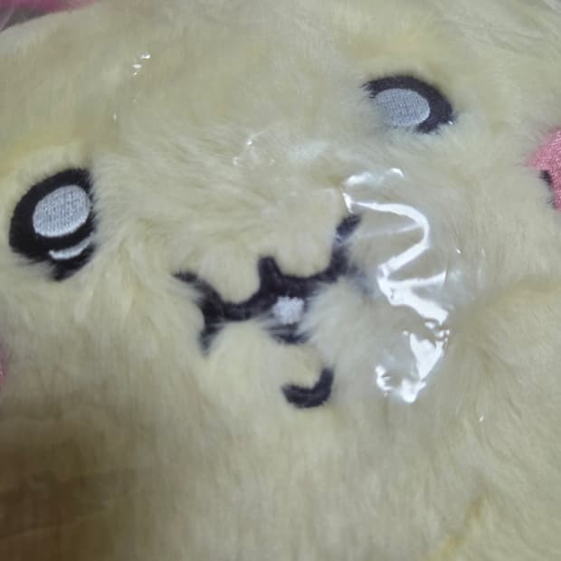 뚱우사기