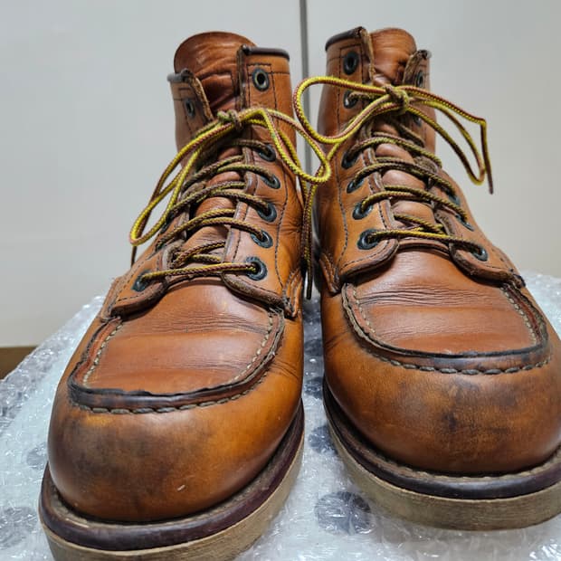 레드윙 875 각인모델 7.5d 사이즈