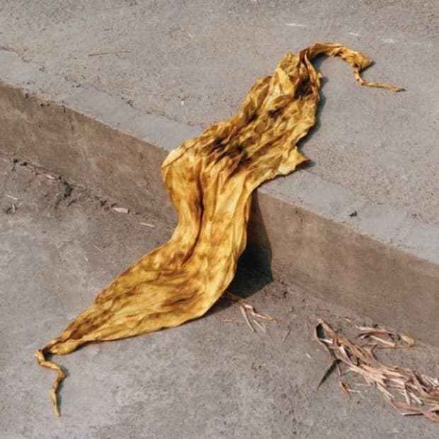 Zara x Fanglu Lin - scarf