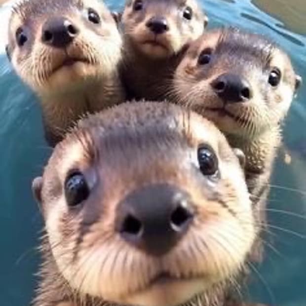 할인 마지막 날 🩵