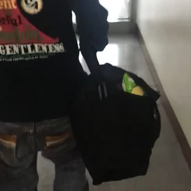 칼하트 카고 시리즈 메신저백