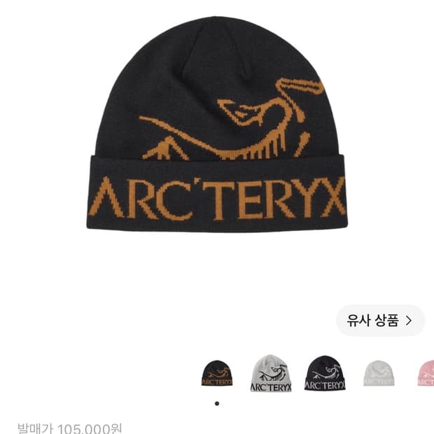 급처) 아크테릭스 버드 워드 토크 블랙 비니