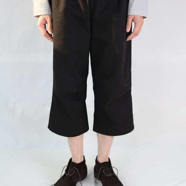 Les capri pants