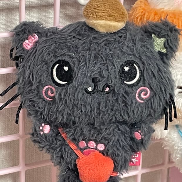 위시돌 쿠리 양도