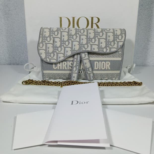 디올 오블리크 새들 슬림 벨트백 S5647CRIW