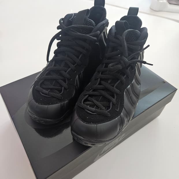 폼포짓 앤트러사이트 새제품270