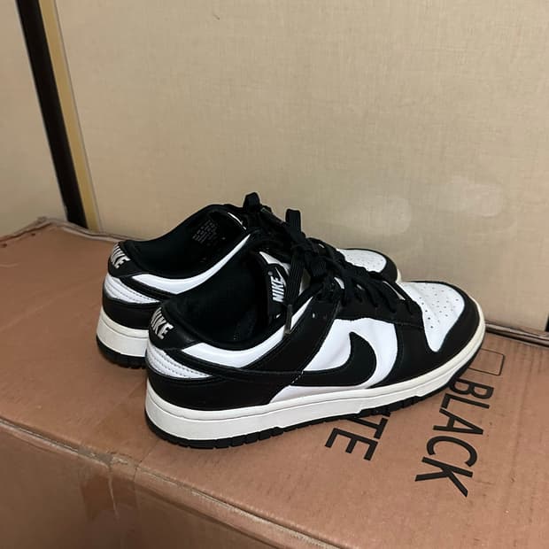 나이크 덩크 범고래 250