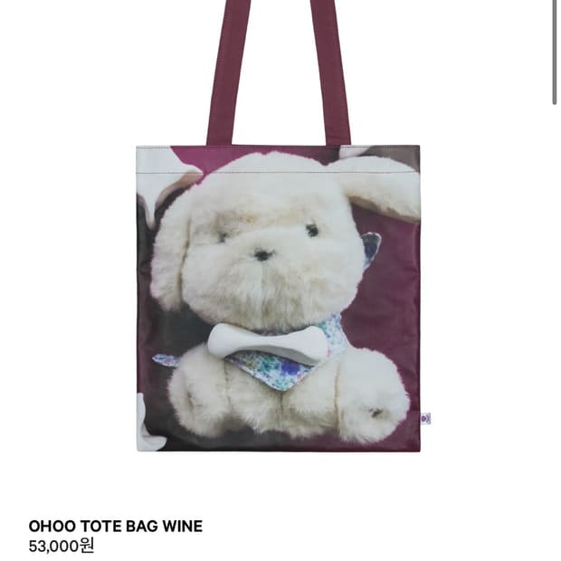 Coyseio 코이세이오 오후 토트백