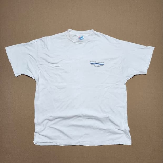 90s Vintage Hanes Beefy-T78
