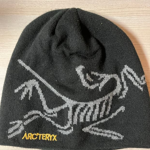 아크테릭스 비니