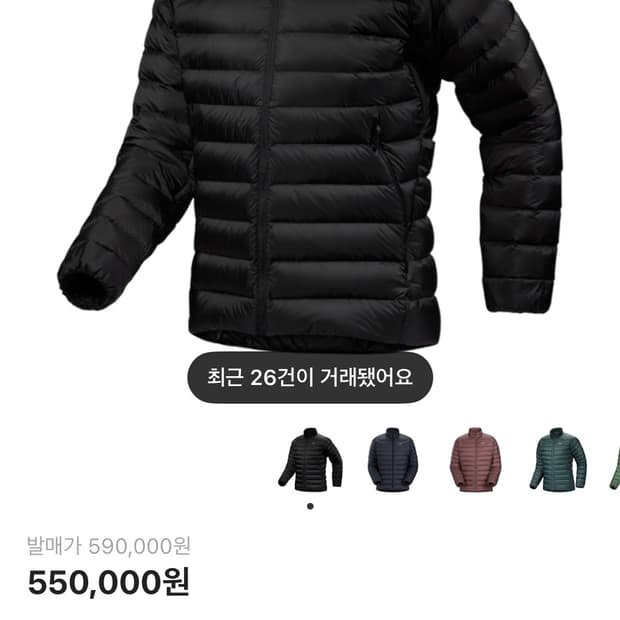 아크테릭스 세륨 L 사이즈