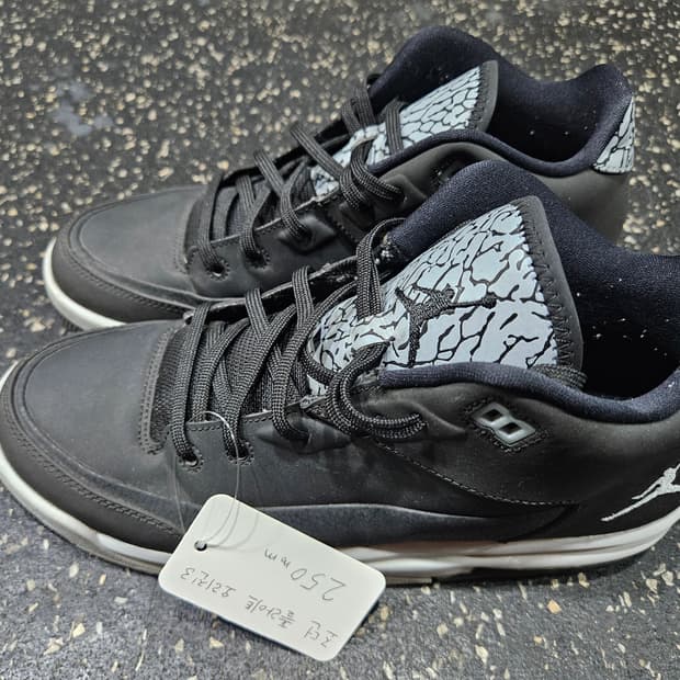 나이키 조던 플라이트 오리진3 250mm